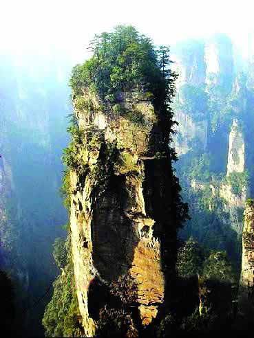 張家界國家地質(zhì)森林公園、黃石寨、金鞭溪休閑一日游